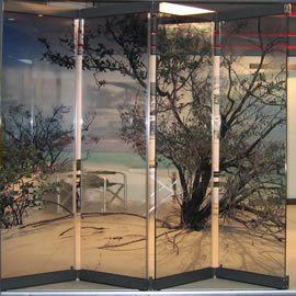 sliding room divider in decorated glass